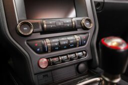 
										2019 Ford Mustang Shelby GT350 full									