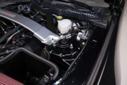 
										2019 Ford Mustang Shelby GT350 full									