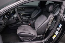 
										2019 Ford Mustang Shelby GT350 full									