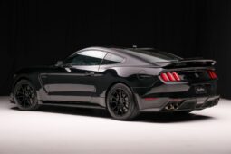 
										2019 Ford Mustang Shelby GT350 full									