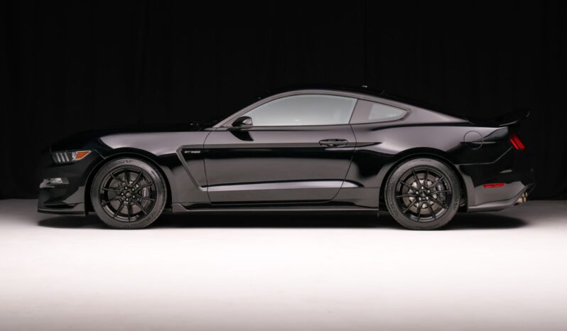 
								2019 Ford Mustang Shelby GT350 full									