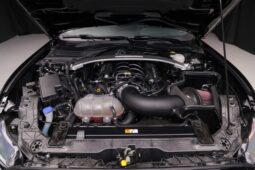 
										2019 Ford Mustang Shelby GT350 full									