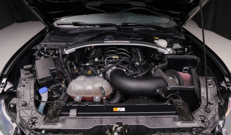 
								2019 Ford Mustang Shelby GT350 full									