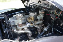 
										1954 Chevrolet 3100 5-Window Pickup full									