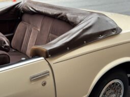 
										1983 Chevrolet Monte Carlo Convertible Conversion full									