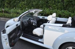 
										2010 Volkswagen New Beetle Final Edition Convertible full									