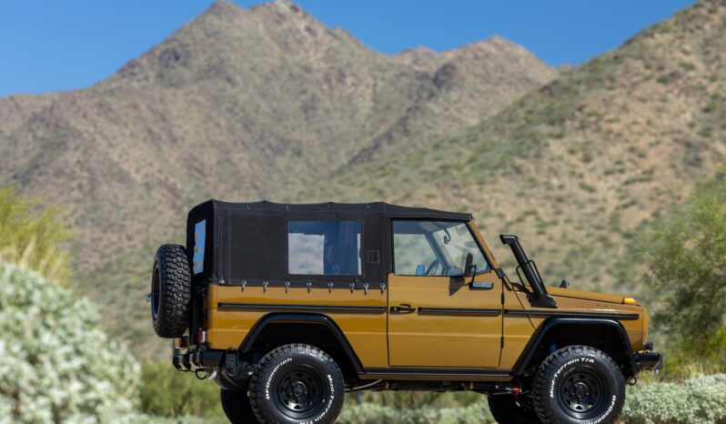 								1991 Mercedes-Benz 250GD Wolf 5-Speed full									