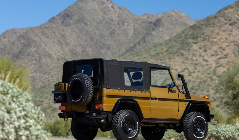 								1991 Mercedes-Benz 250GD Wolf 5-Speed full									