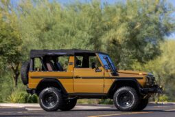 1991 Mercedes-Benz 250GD Wolf 5-Speed