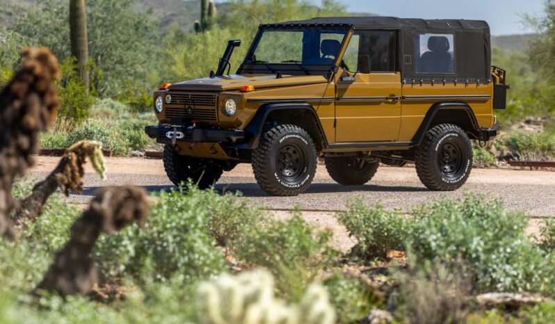 								1991 Mercedes-Benz 250GD Wolf 5-Speed full									