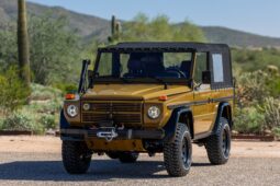 1991 Mercedes-Benz 250GD Wolf 5-Speed full