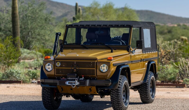 								1991 Mercedes-Benz 250GD Wolf 5-Speed full									