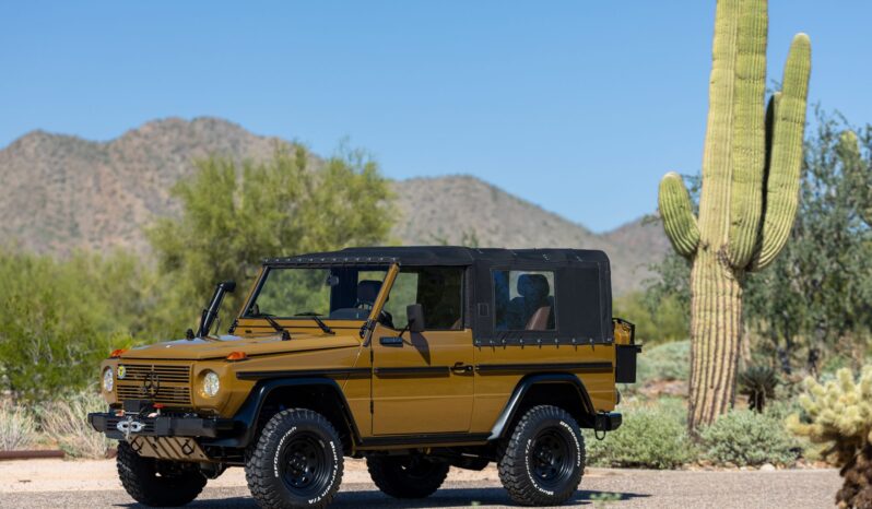 								1991 Mercedes-Benz 250GD Wolf 5-Speed full									