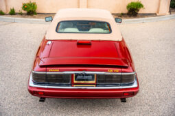 1994 Jaguar XJS 2+2 V12 Convertible full