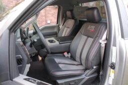 
										2020 Ford Shelby F-150 Super Snake Sport 4×4 full									