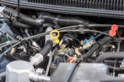 
										1999 Pontiac Firebird Trans Am Convertible full									