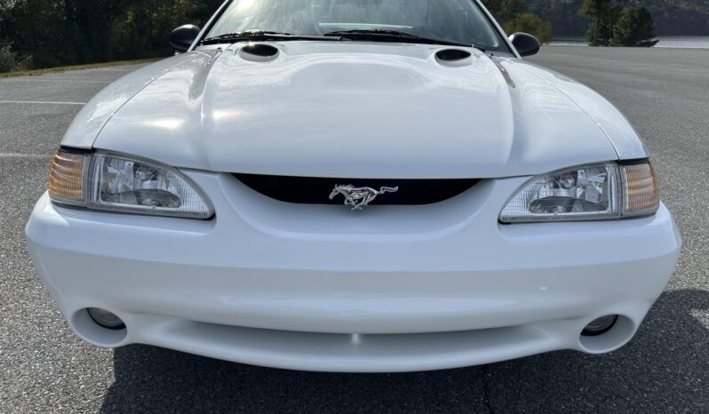 
								1998 Ford Mustang SVT Cobra Coupe full									
