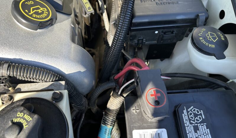 
								1998 Ford Mustang SVT Cobra Coupe full									