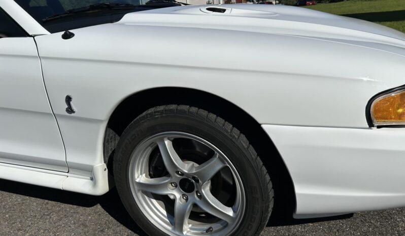 
								1998 Ford Mustang SVT Cobra Coupe full									