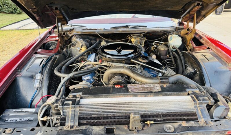 
								1976 Cadillac Eldorado Convertible full									