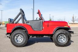 1976 Jeep CJ-5 304 2