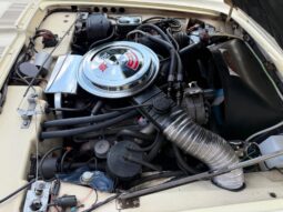 
										1976 Studebaker Avanti II Automatic full									
