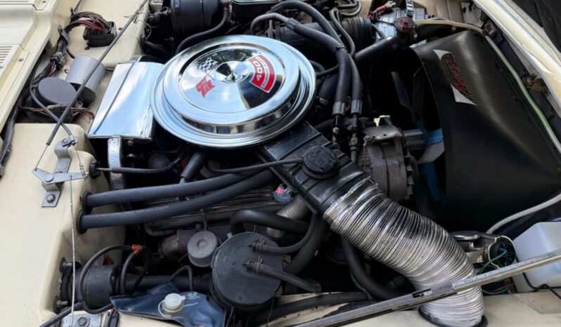 
								1976 Studebaker Avanti II Automatic full									