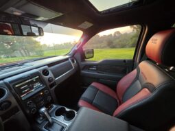 
										2014 Ford F-150 SVT Raptor SuperCrew Special Edition full									