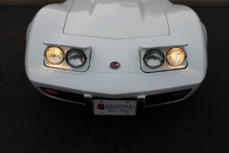 
										1975 Chevrolet Corvette L-48 White full									