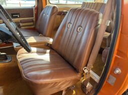 
										1976 Chevrolet Blazer K5 Cheyenne full									