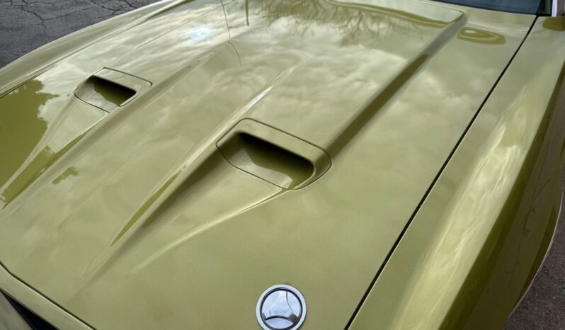 
								1973 Ford Mustang Convertible 351 2V full									