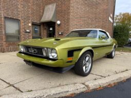 
										1973 Ford Mustang Convertible 351 2V full									