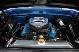 										1967 Ford F-100 full									