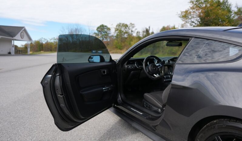 								2020 Ford Mustang GT Fastback full									