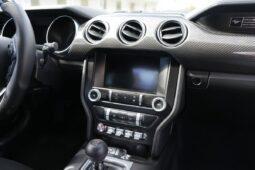 										2020 Ford Mustang GT Fastback full									