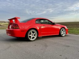 2000 Ford Mustang SVT Cobra R