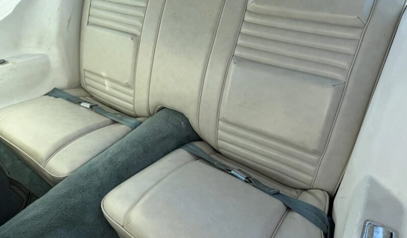 
								1979 Pontiac Firebird Trans Am full									