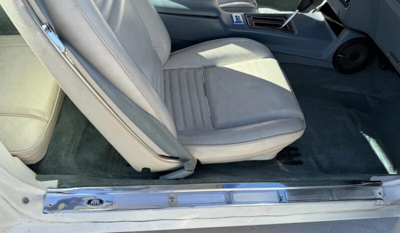 
								1979 Pontiac Firebird Trans Am full									