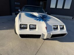 
										1979 Pontiac Firebird Trans Am full									