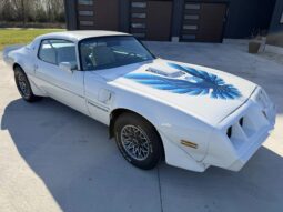 
										1979 Pontiac Firebird Trans Am full									