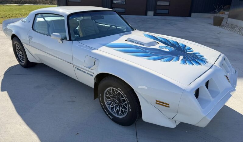 
								1979 Pontiac Firebird Trans Am full									
