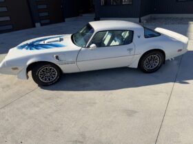1979 Pontiac Firebird Trans Am