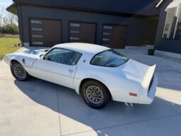 
										1979 Pontiac Firebird Trans Am full									