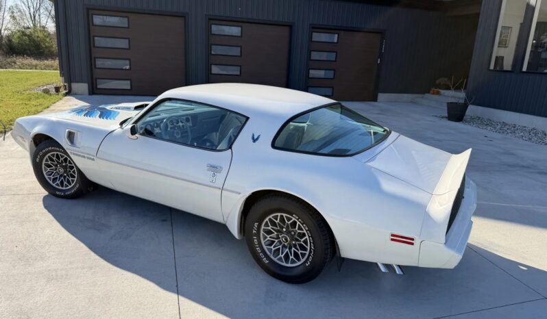 
								1979 Pontiac Firebird Trans Am full									