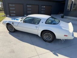 
										1979 Pontiac Firebird Trans Am full									