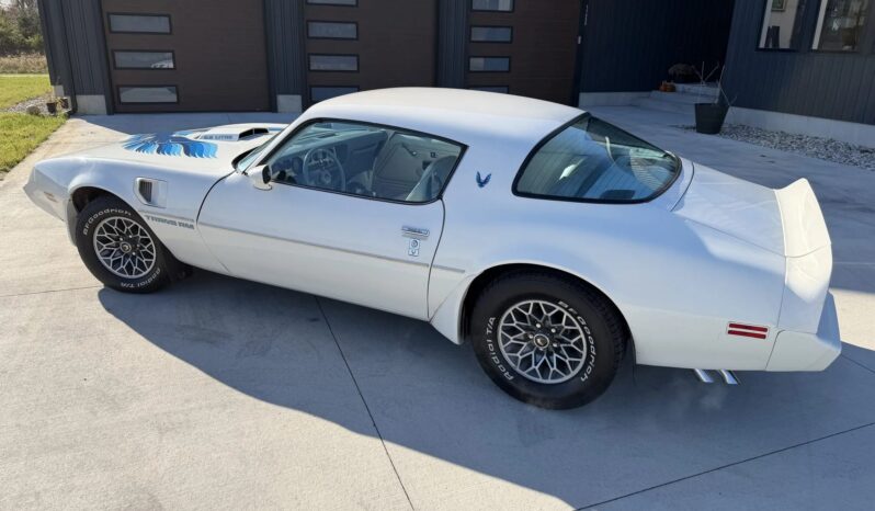 
								1979 Pontiac Firebird Trans Am full									