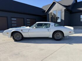 1979 Pontiac Firebird Trans Am