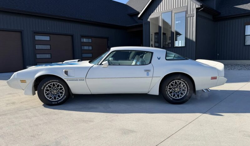 
								1979 Pontiac Firebird Trans Am full									