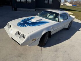 1979 Pontiac Firebird Trans Am