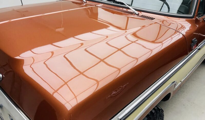 								1979 Ford F-250 Ranger XLT 4×4 full									